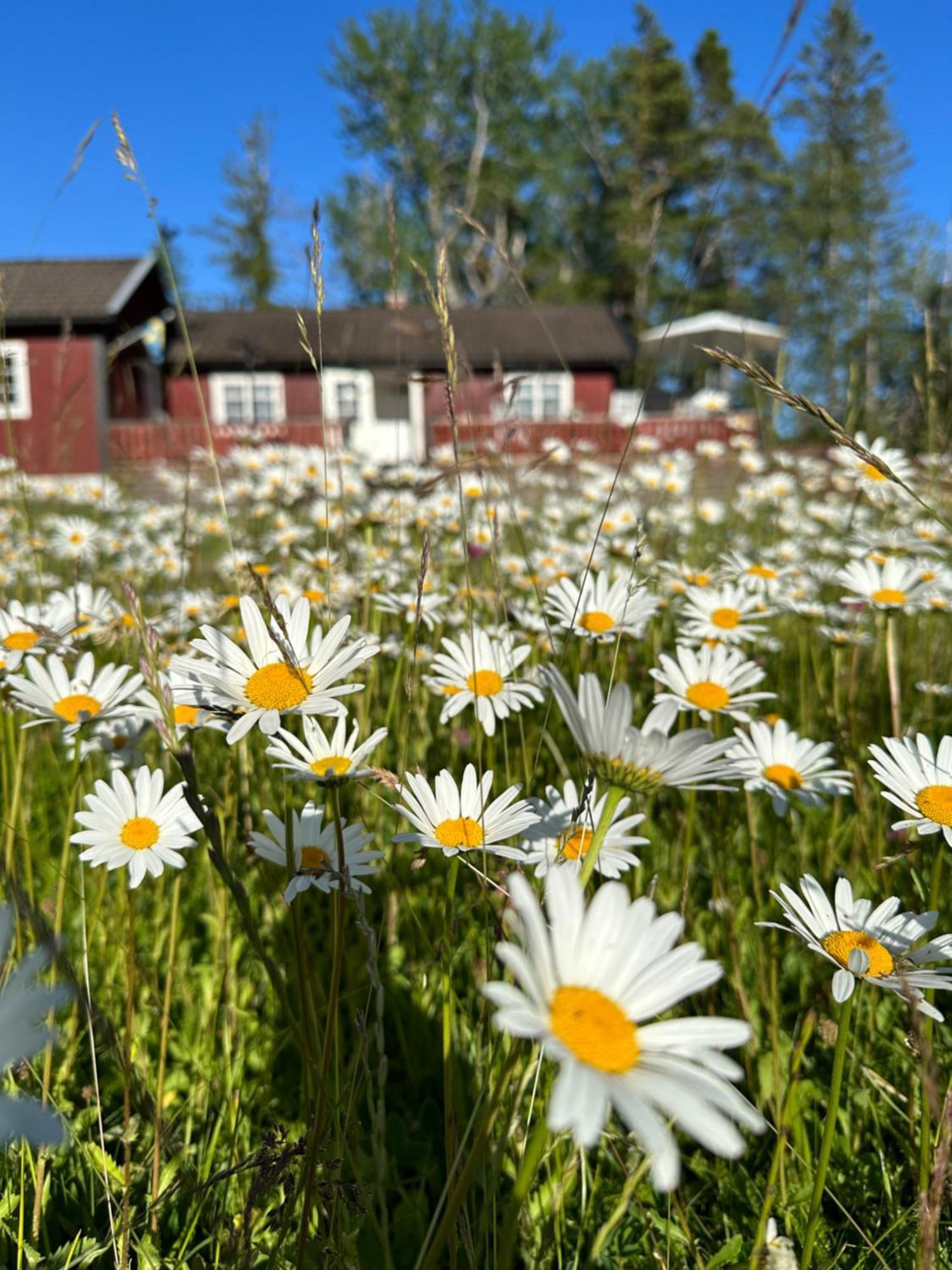Holiday home Charmiga Norrangen Vaddo